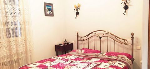 photo no. 15
