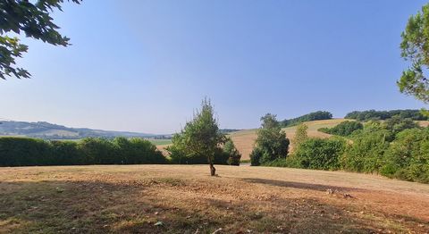 photo no. 19