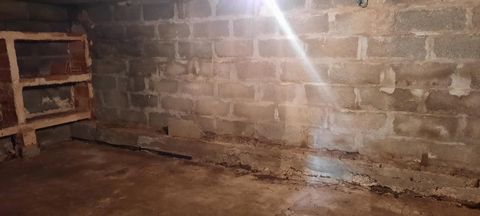 photo no. 10