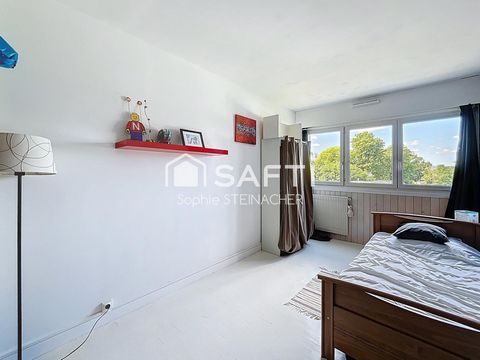 photo no. 5
