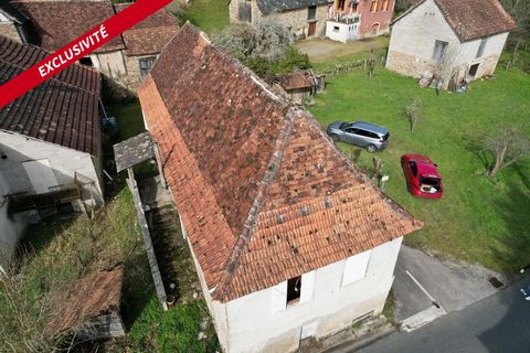 photo no. 12