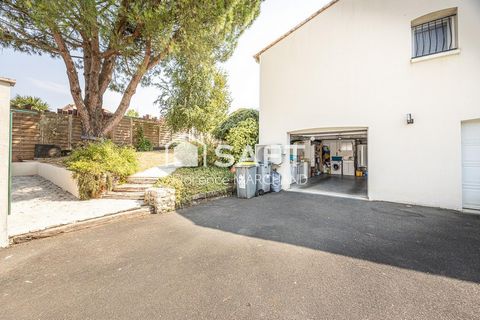 photo no. 15