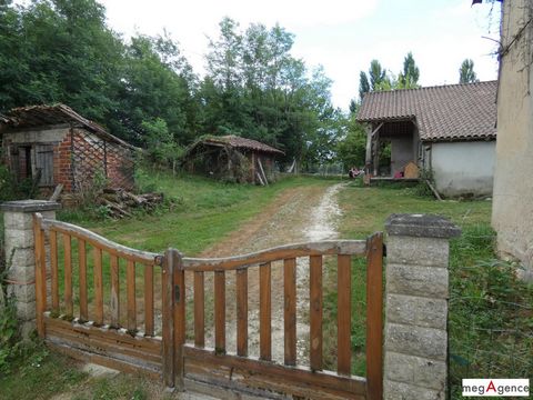 photo no. 2