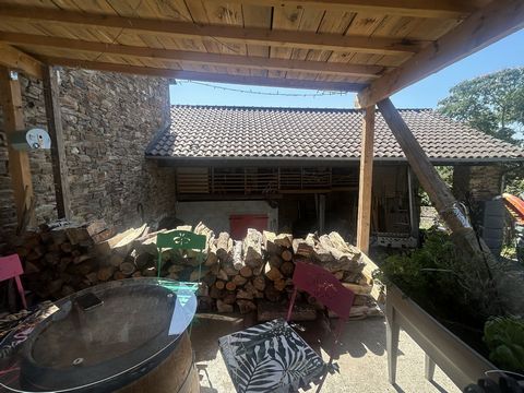 photo no. 11