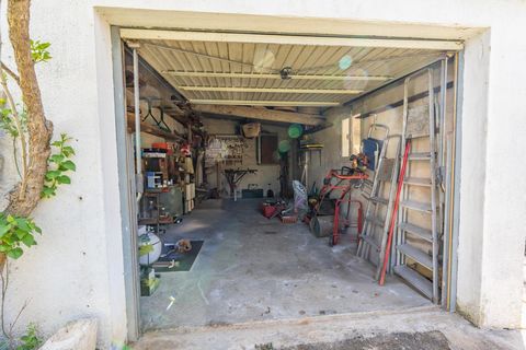 photo no. 10