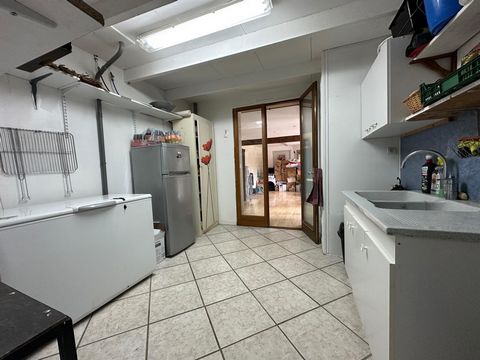 photo no. 12