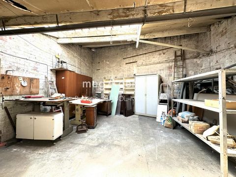 photo no. 11