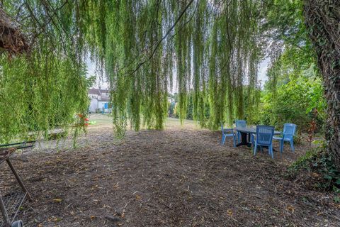 photo no. 16