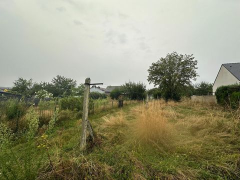 photo no. 7
