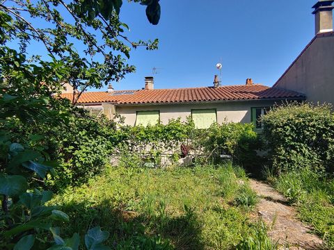 photo no. 6