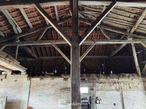 photo no. 15
