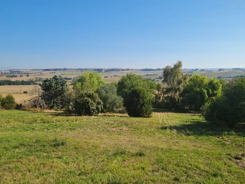 photo no. 1