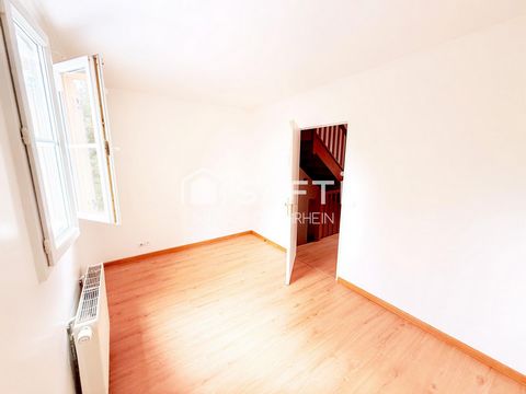 photo no. 11