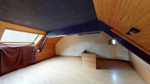 photo no. 9