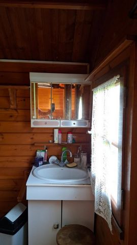 photo no. 12