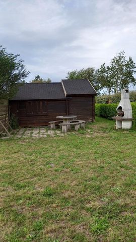 photo no. 13
