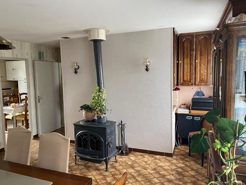 photo no. 8