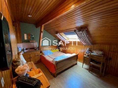 photo no. 11