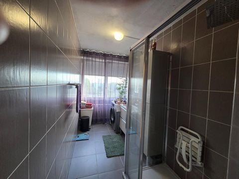 photo no. 10