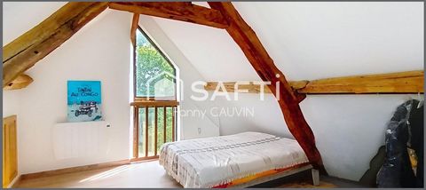 photo no. 12