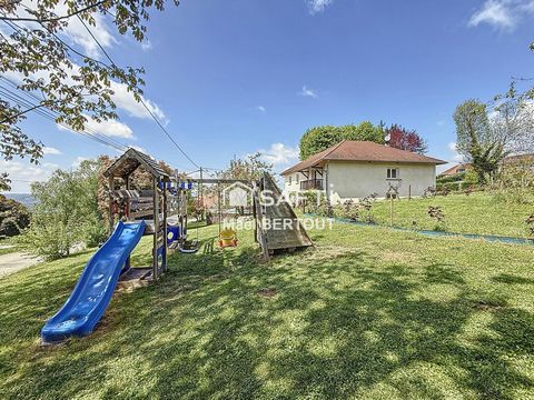 photo no. 11