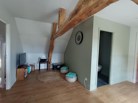 photo no. 14