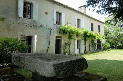 photo no. 1
