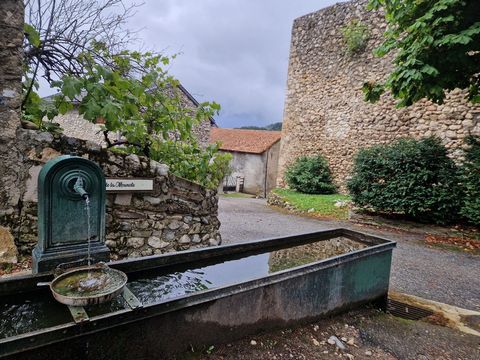 photo no. 13