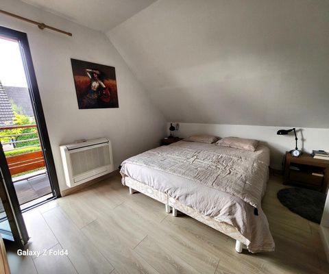 photo no. 8