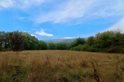 photo no. 1