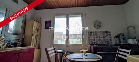 photo no. 2