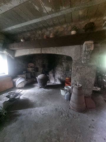 photo no. 9