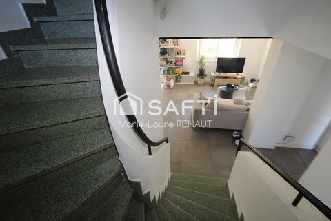photo no. 8
