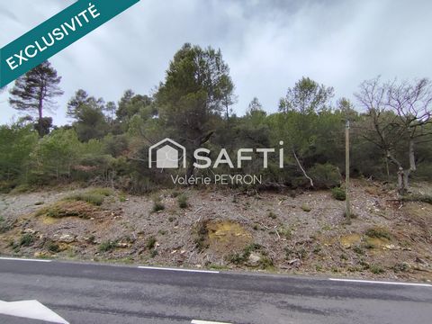 Spécial Investissement - Terrain Naturel et Forestier