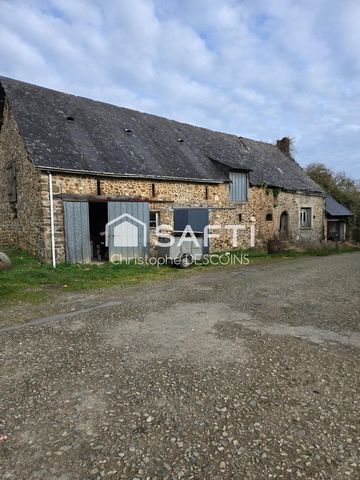 photo no. 5