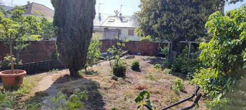 photo no. 9
