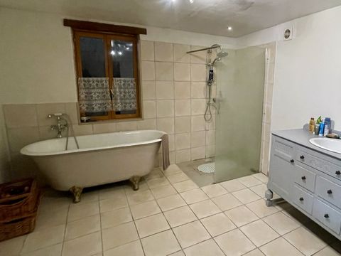 photo no. 8