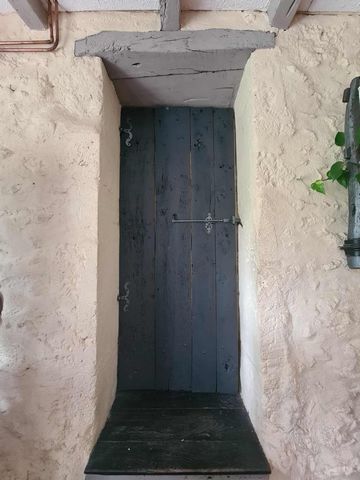 photo no. 4