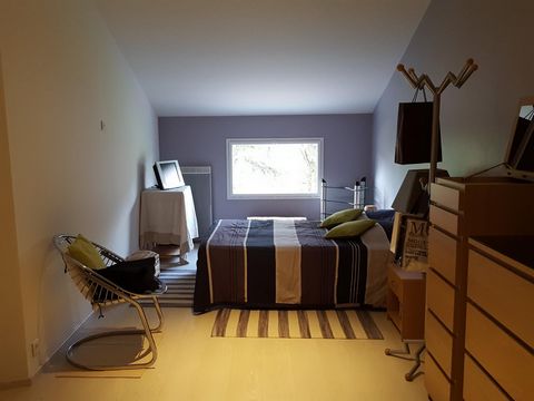 photo no. 6
