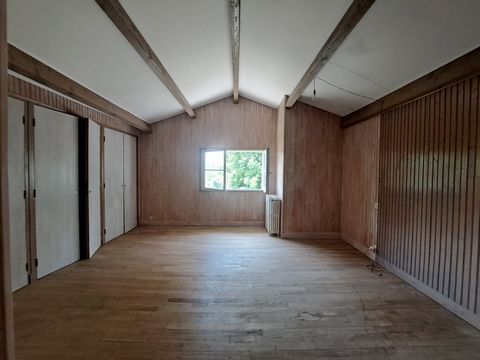 photo no. 15