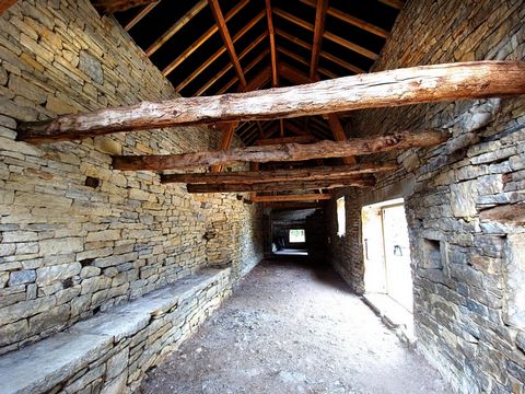 photo no. 15