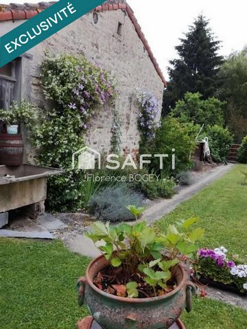photo no. 13