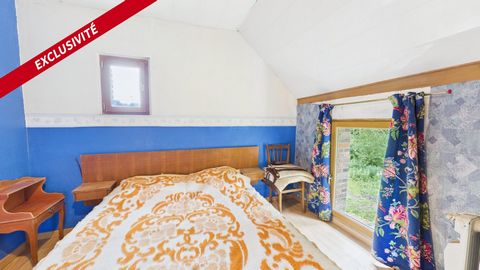 photo no. 10
