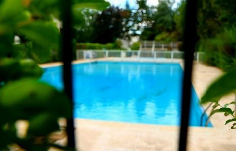 photo no. 9