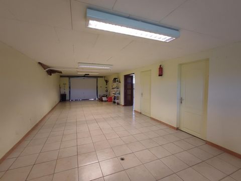photo no. 15