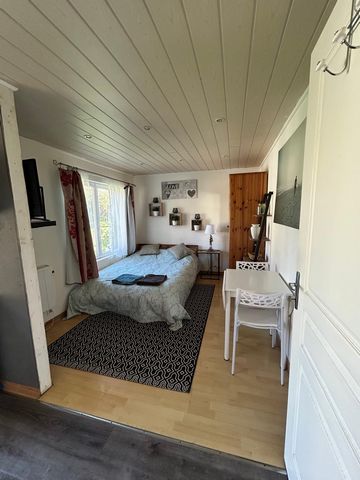 photo no. 14