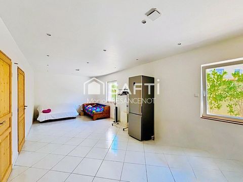 photo no. 11
