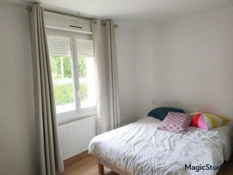 photo no. 8