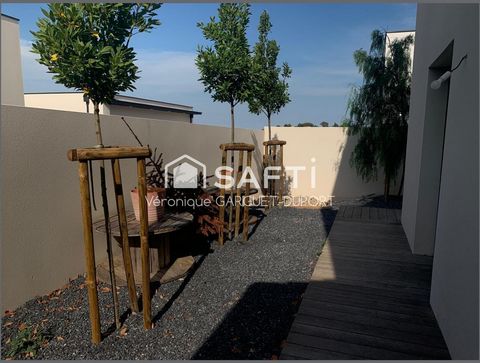 photo no. 11