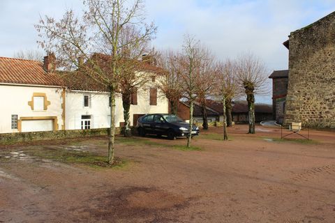 photo no. 2